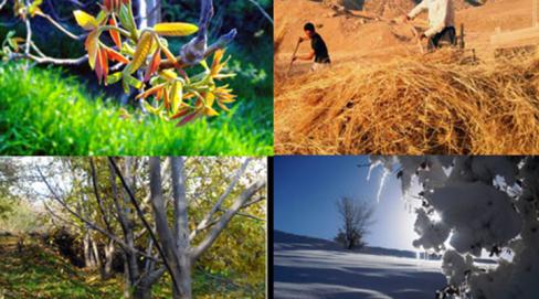 Climat